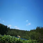 In Im Schoenen Erzgebirge 申海德