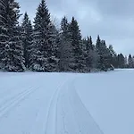In Im Schoenen Erzgebirge