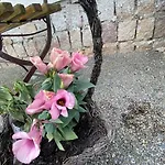 度假居 In Im Schoenen Erzgebirge