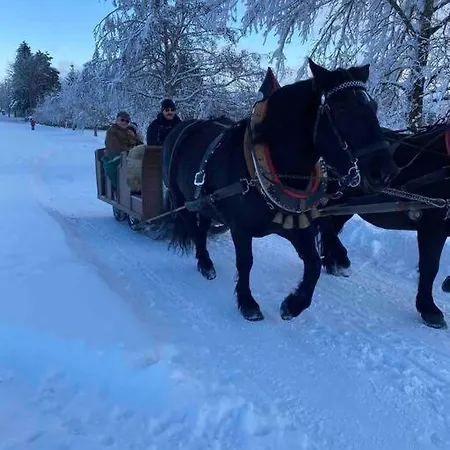 In Im Schoenen Erzgebirge * Schoenheide