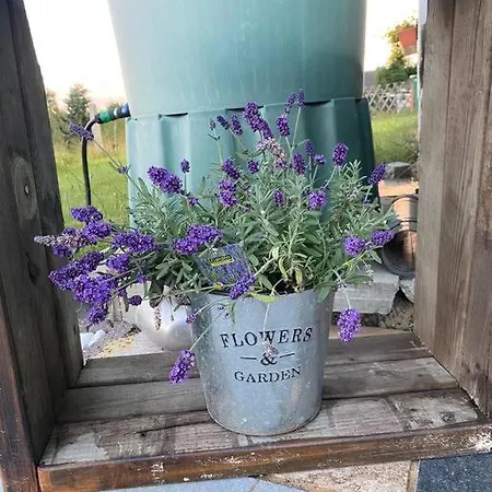 In Im Schoenen Erzgebirge Vakantiehuis
