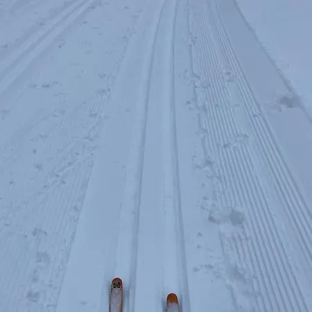 In Im Schoenen Erzgebirge Vakantiehuis Schönheide
