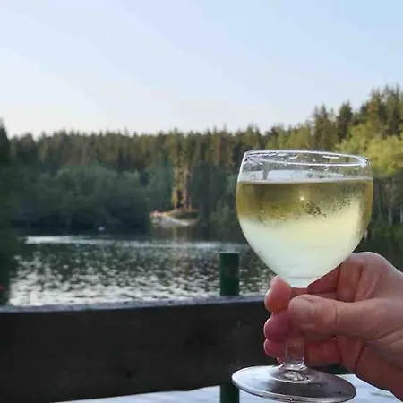In Im Schoenen Erzgebirge Vakantiehuis *