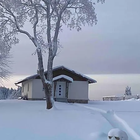 Holiday home In Im Schoenen Erzgebirge