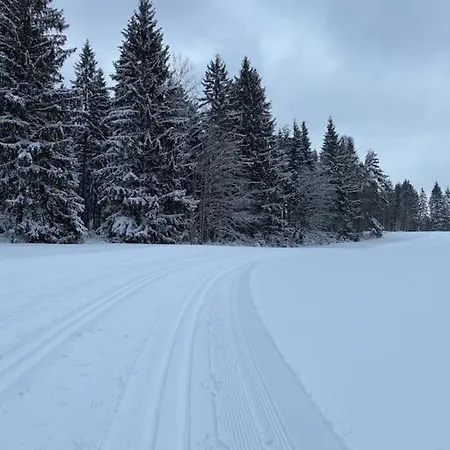 In Im Schoenen Erzgebirge