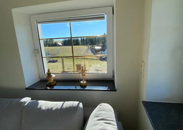 In Im Schoenen Erzgebirge Holiday home