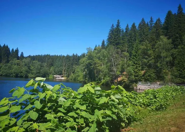 In Im Schoenen Erzgebirge Schoenheide