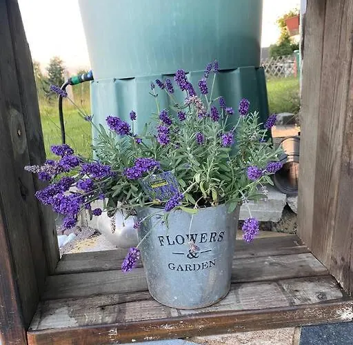 In Im Schoenen Erzgebirge Holiday home