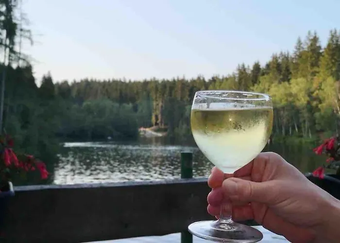 In Im Schoenen Erzgebirge Holiday home *