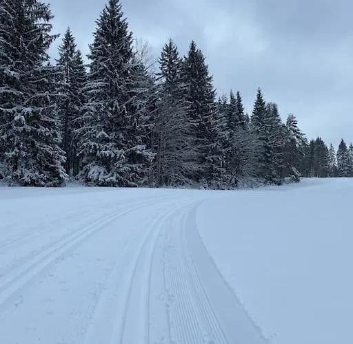In Im Schoenen Erzgebirge