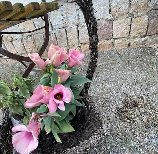 Holiday home In Im Schoenen Erzgebirge